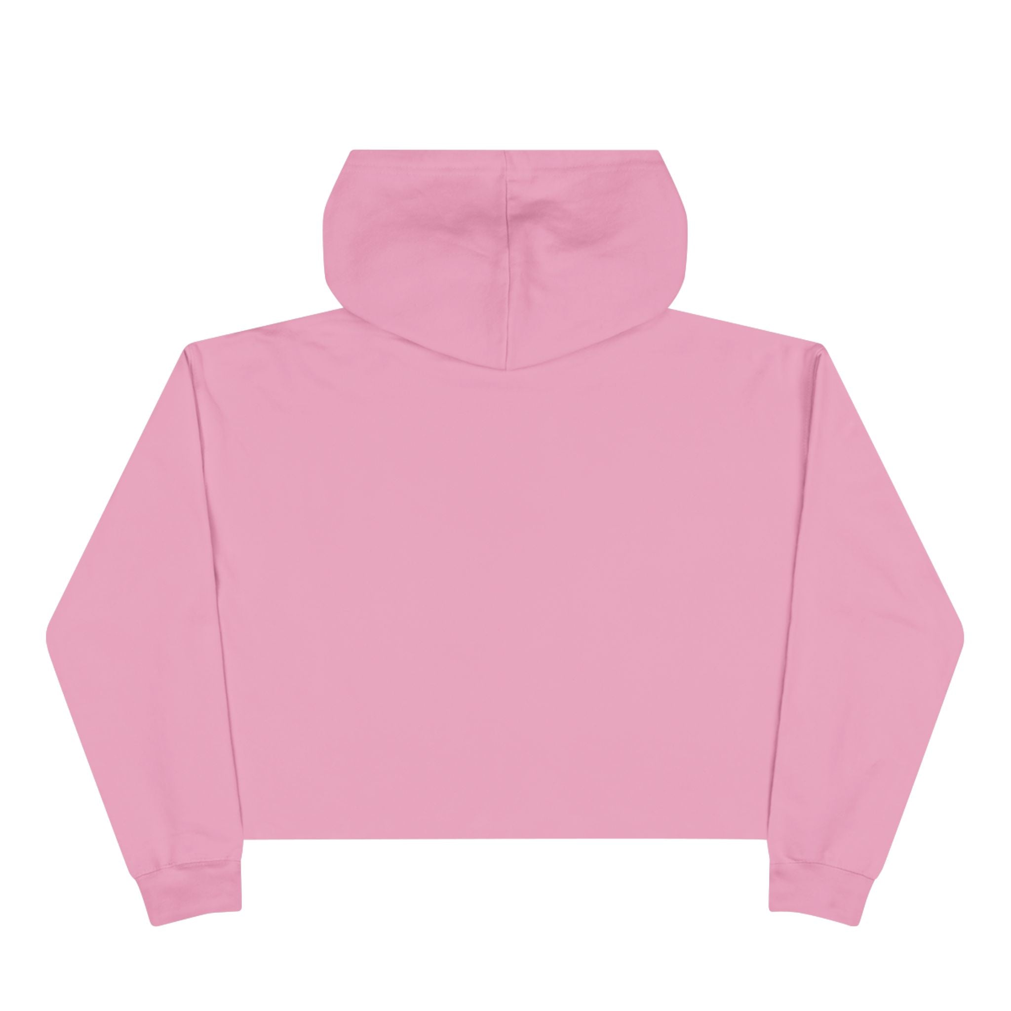 Living Dead Girl Crop Hoodie